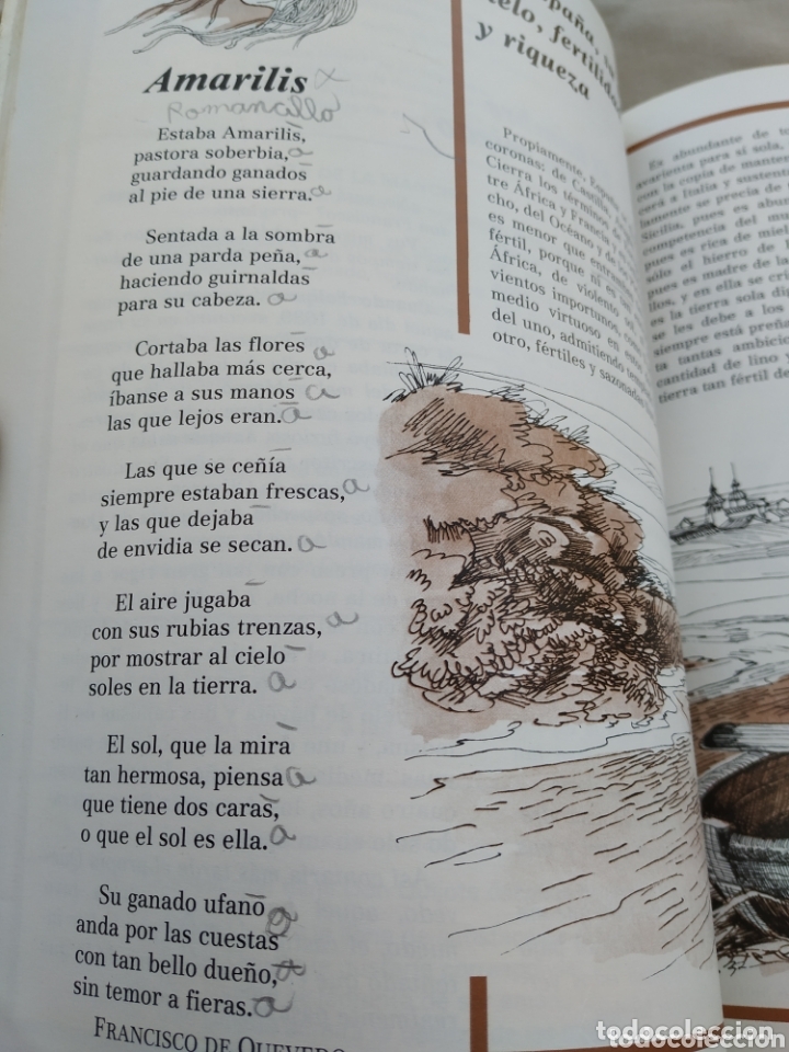 Libros de segunda mano: Libro de texto SENDA 6. LIBRO DE LECTURA EGB. Santillana - Foto 4