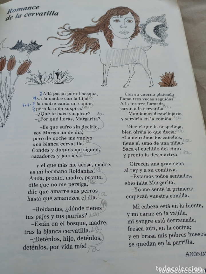 Libros de segunda mano: Libro de texto SENDA 6. LIBRO DE LECTURA EGB. Santillana - Foto 5