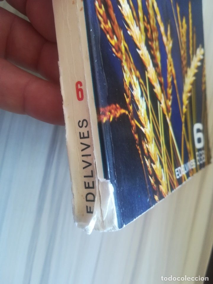 Libros de segunda mano: Temas para leer. 6 EGB. Edelvives. - Foto 3