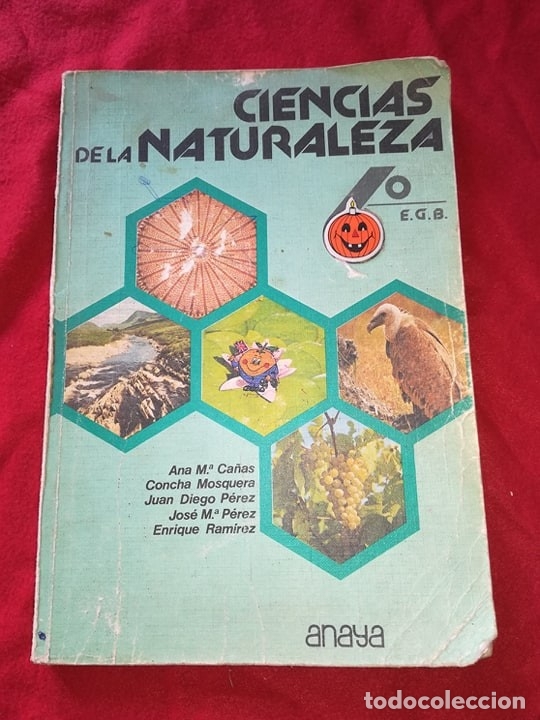 Libros de segunda mano: ciencias naturales 6 egb anaya - Foto 1