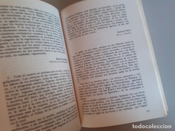 Libros de segunda mano: LUIS MIRANDA PODADERA. ORTOGRAFIA PRACTICA DE LA LENGUA ESPA&Ntilde;OLA. EDITORIAL HERNANDO. - Foto 6