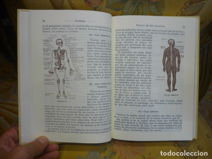 Libros de segunda mano: TESORO DE LAS ESCUELAS (I). MUY ILUSTRADA. - Foto 9