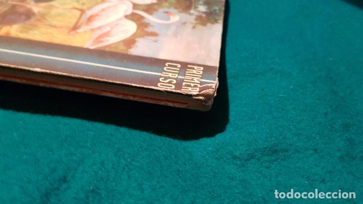 Libros de segunda mano: CIENCIAS COSMOLOGICAS (1950) ED. LUIS VIVES - Foto 6