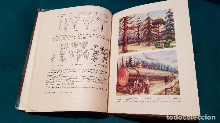 Libros de segunda mano: CIENCIAS COSMOLOGICAS (1950) ED. LUIS VIVES - Foto 7