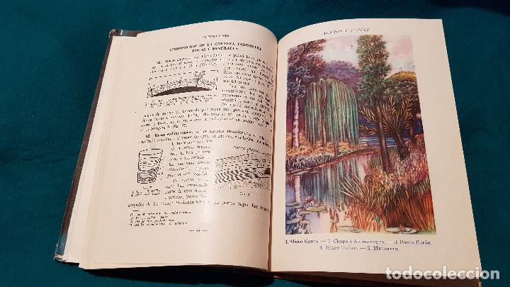 Libros de segunda mano: CIENCIAS COSMOLOGICAS (1950) ED. LUIS VIVES - Foto 9