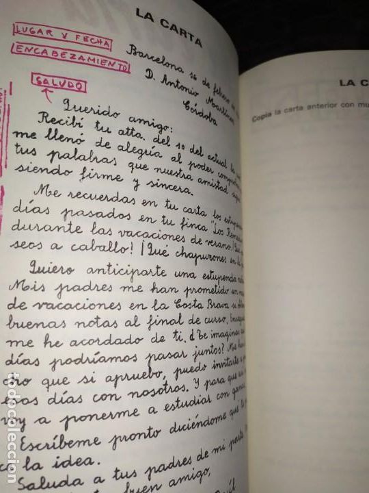 Libros de segunda mano: PASCAL ORTOGRAF&Iacute;A JOS&Eacute; PASCUAL MART&Iacute;N - Foto 11