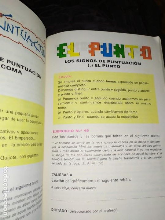 Libros de segunda mano: PASCAL ORTOGRAF&Iacute;A JOS&Eacute; PASCUAL MART&Iacute;N - Foto 13