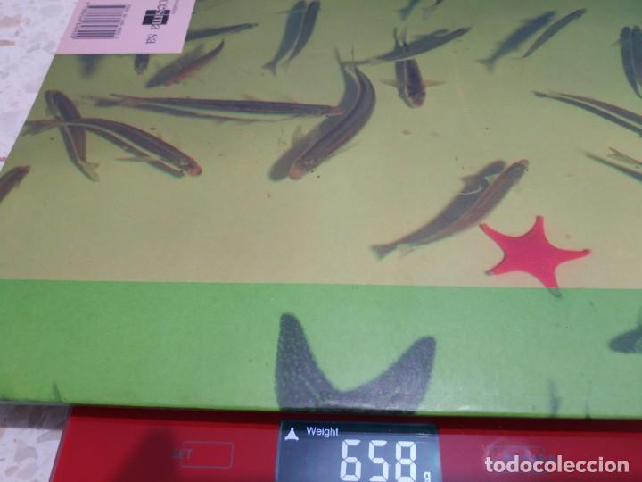 Libros de segunda mano: EXPLORA. CIENCIAS DE LA NATURALEZA. SM - Foto 4