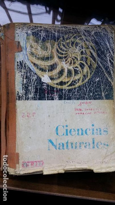 Libros de segunda mano: CIENCIAS NATURALES 1* BUP. ECIR - Foto 1