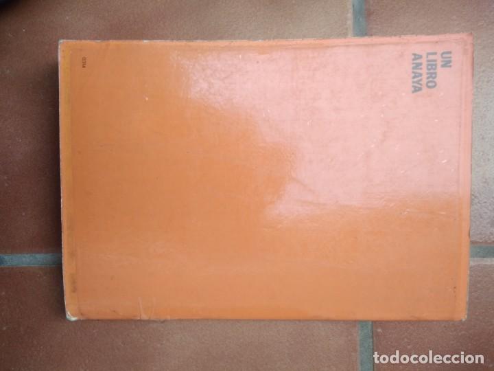 Libros de segunda mano: Libro matematicas 3 egb anaya a&ntilde;o 1983 - Foto 9