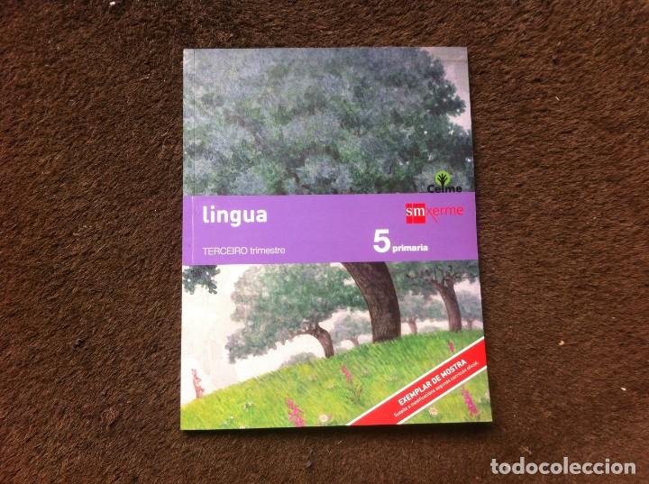Libros de segunda mano: LINGUA. TERCEIRO TRIMESTRE. 5 PRIMARIA. ED. EDICIONES SM - Foto 1
