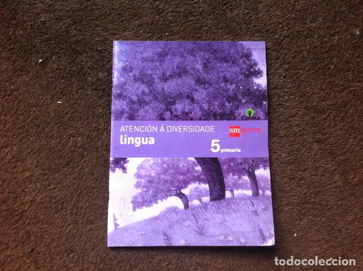 Libros de segunda mano: ATENCI&Oacute;N &Aacute; DIVERSIDADE. LINGUA. 5 PRIMARIA. ED. EDICIONES SM - Foto 1