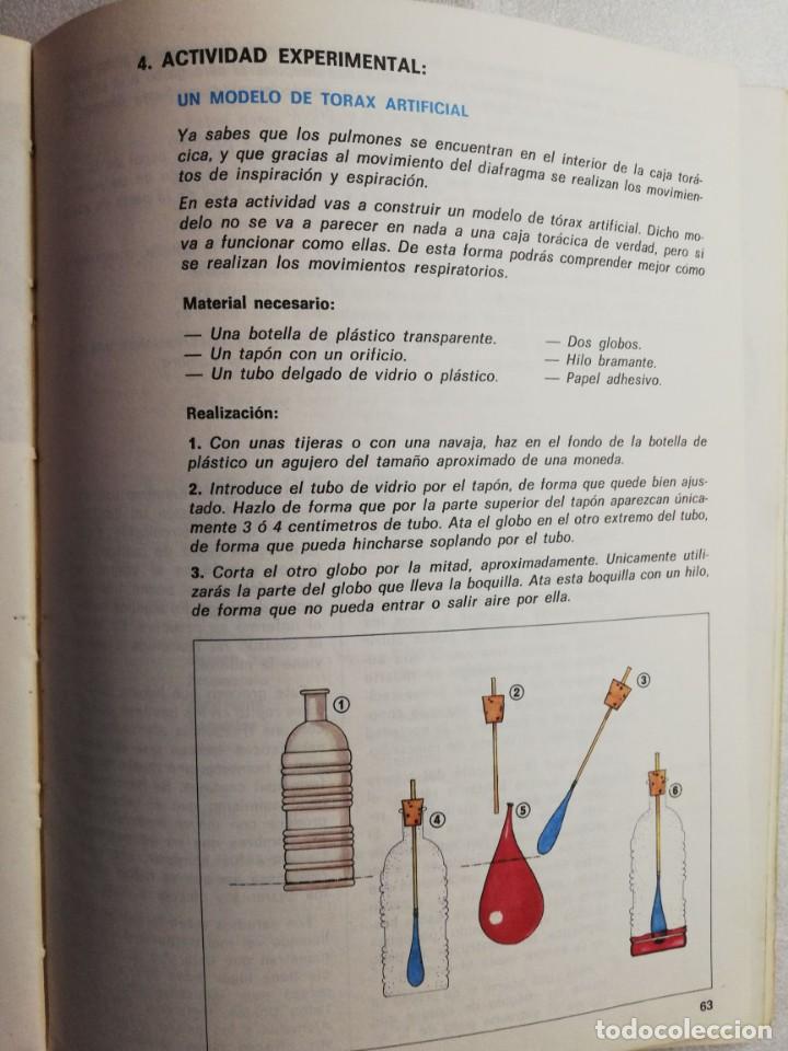 Libros de segunda mano: NATURALEZA SANTILLANA 5 EGB - Foto 3