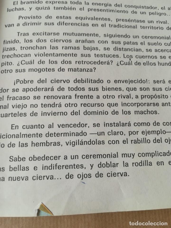 Libros de segunda mano: LIBRO MUNDO NUEVO 4 ANAYA 4&ordm; EGB - Foto 14