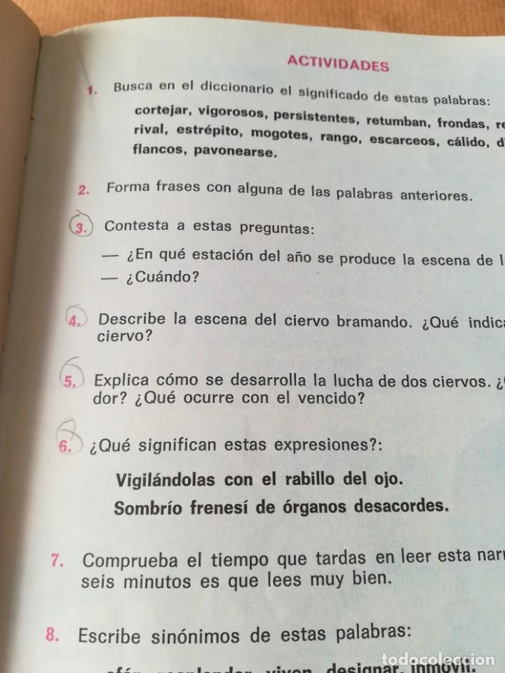 Libros de segunda mano: LIBRO MUNDO NUEVO 4 ANAYA 4&ordm; EGB - Foto 15