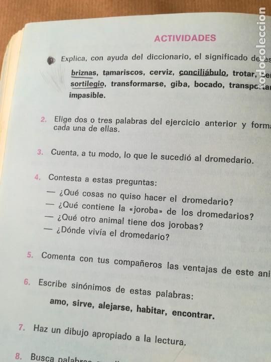 Libros de segunda mano: LIBRO MUNDO NUEVO 4 ANAYA 4&ordm; EGB - Foto 41