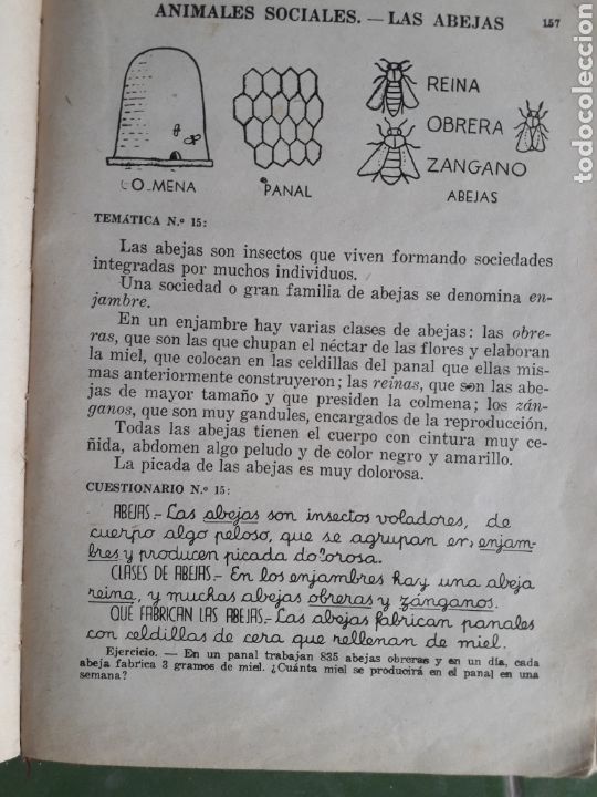 Libros de segunda mano: Enciclopedia Estudio. Libro amarillo. - Foto 3