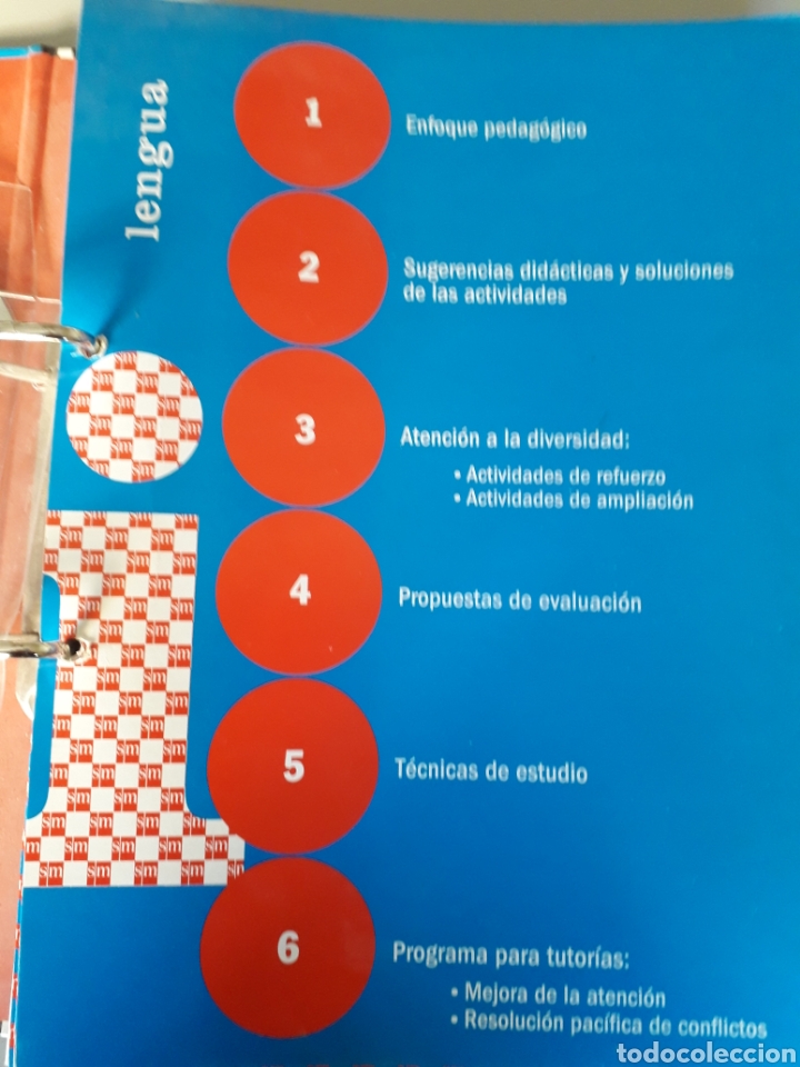 Libros de segunda mano: RECURSOS DIDACT&Iacute;COSLENGUA 5&ordm; PRIMARIA. ED SM - Foto 3