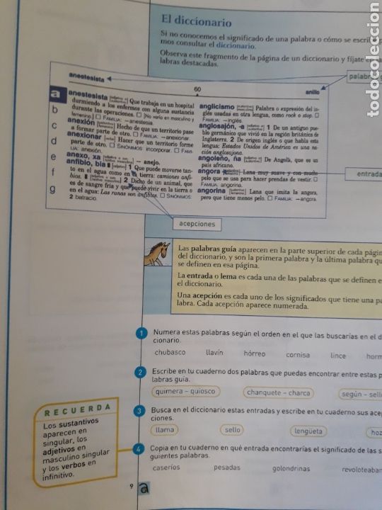 Libros de segunda mano: RECURSOS DIDACT&Iacute;COSLENGUA 5&ordm; PRIMARIA. ED SM - Foto 4