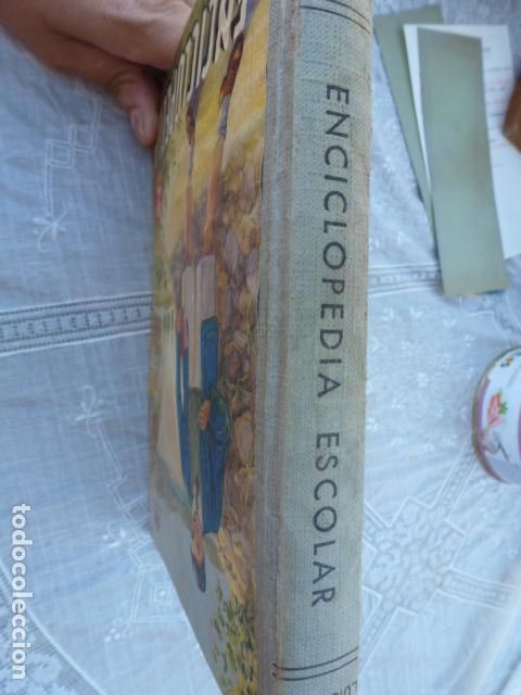 Libros de segunda mano: ENCICLOPEDIA 2&ordm; GRADO - ED. EDELVIVES 1965. - Foto 2