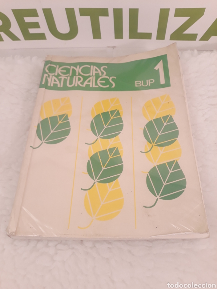 Libros de segunda mano: Ciencias Naturales. BUP 1. Edelvives. - Foto 1