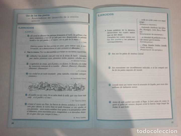 Libros de segunda mano: Libro de texto Anaya Ortograf&iacute;a 19. Sin uso. - Foto 4