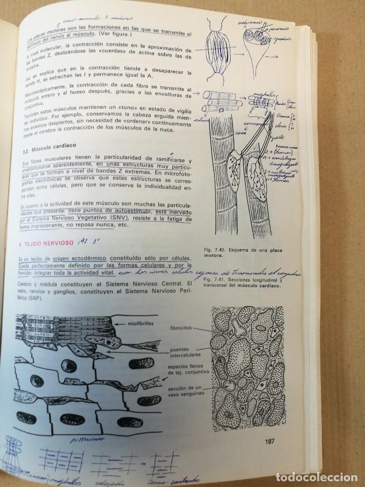 Libros de segunda mano: CIENCIAS NATURALES 3 BUP EDELVIVES LIBRO DE TEXTO 1981 - Foto 6