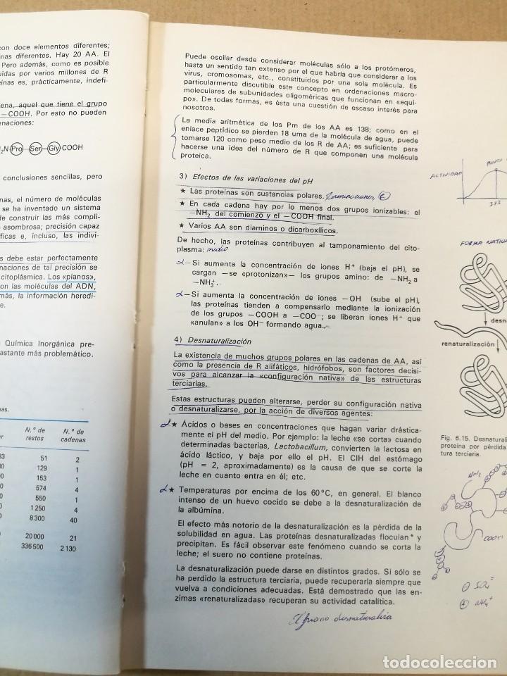 Libros de segunda mano: CIENCIAS NATURALES 3 BUP EDELVIVES LIBRO DE TEXTO 1981 - Foto 2