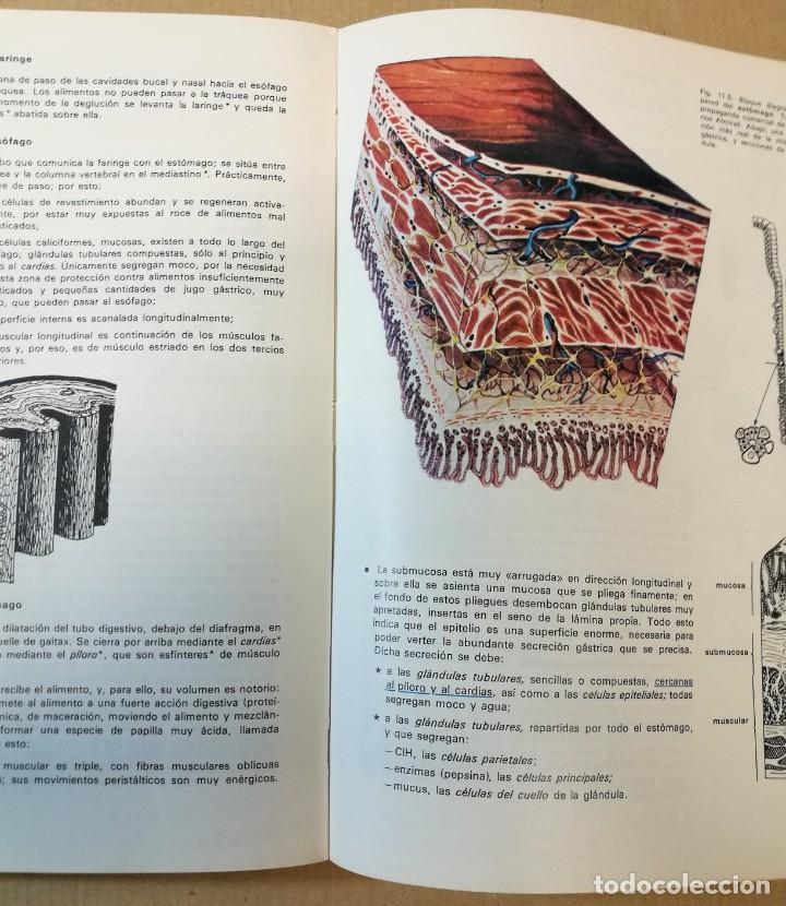 Libros de segunda mano: CIENCIAS NATURALES 3 BUP EDELVIVES LIBRO DE TEXTO 1981 - Foto 3
