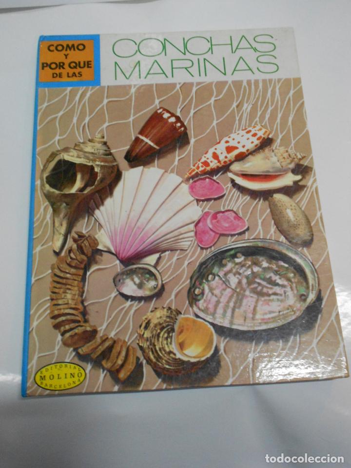 Libros de segunda mano: ANTIGUO LIBRO JUVENIL - COMO Y PORQUE DE LAS CONCHAS MARINAS - Foto 1