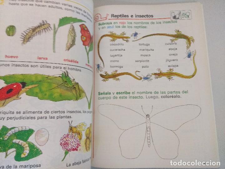 Libros de segunda mano: CORZO EQUIPO AZOR 2&ordf; TRIMESTRE 2 E.G.B. ANAYA. - Foto 2