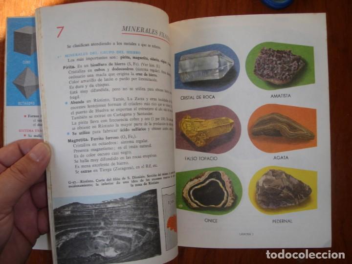 Libros de segunda mano: LIBRO CIENCIAS NATURALES 5&ordm; A&Ntilde;O S.M. - Foto 5