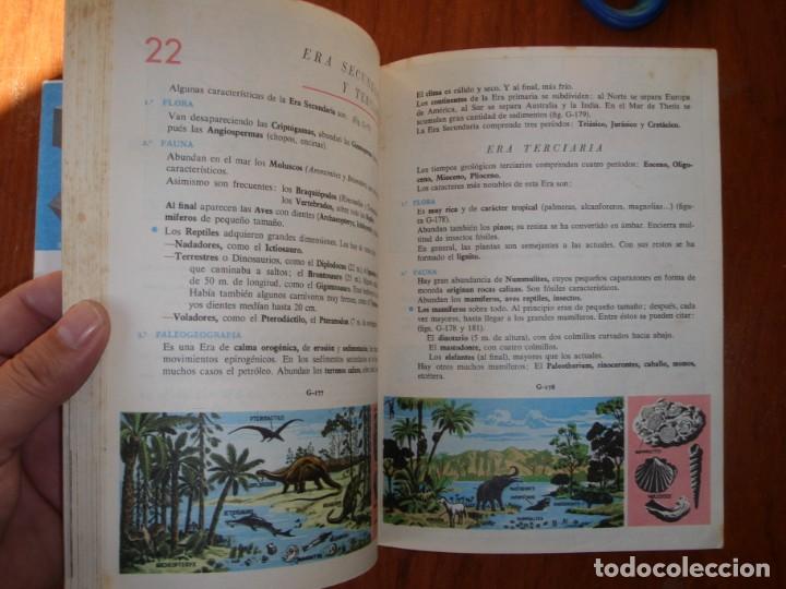 Libros de segunda mano: LIBRO CIENCIAS NATURALES 5&ordm; A&Ntilde;O S.M. - Foto 7