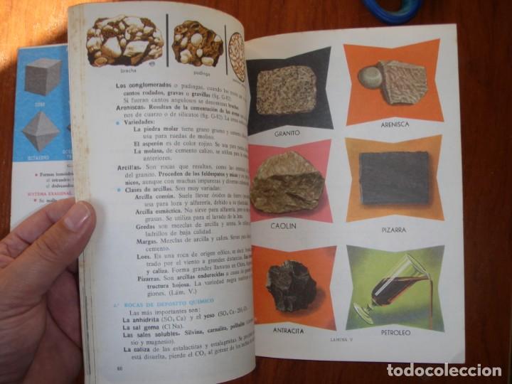 Libros de segunda mano: LIBRO CIENCIAS NATURALES 5&ordm; A&Ntilde;O S.M. - Foto 10