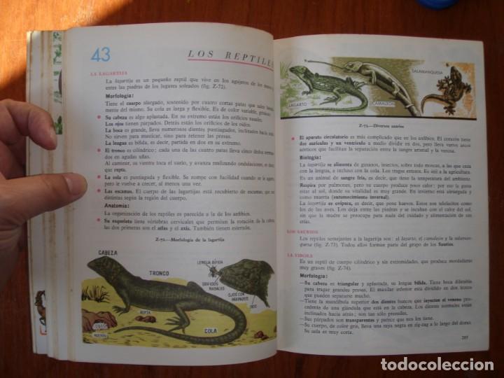 Libros de segunda mano: LIBRO CIENCIAS NATURALES 5&ordm; A&Ntilde;O S.M. - Foto 12