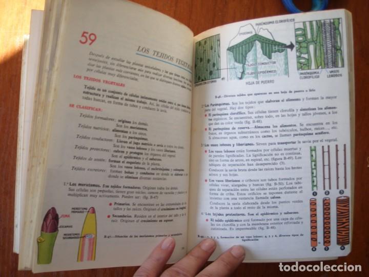 Libros de segunda mano: LIBRO CIENCIAS NATURALES 5&ordm; A&Ntilde;O S.M. - Foto 14