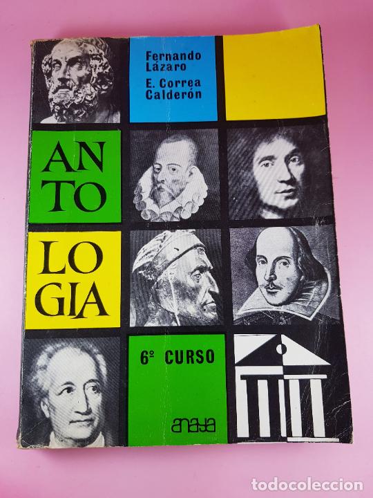 Libros de segunda mano: libro-antolog&iacute;a literaria-6&ordm;curso- - Foto 2