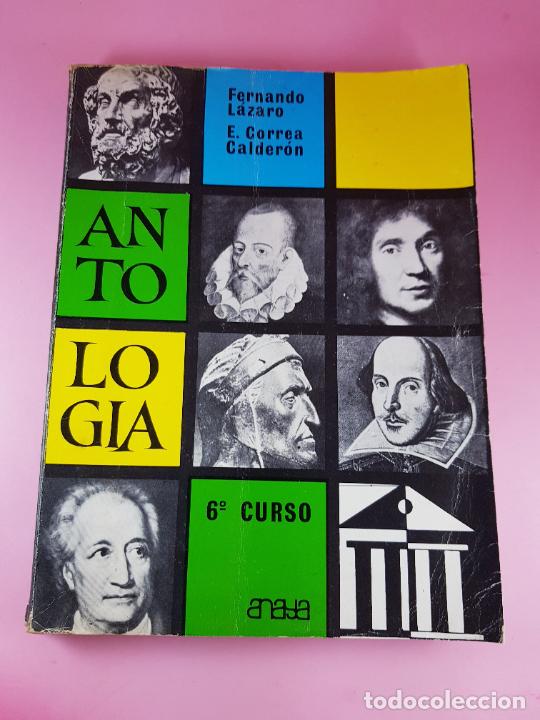 Libros de segunda mano: libro-antolog&iacute;a literaria-6&ordm;curso- - Foto 1