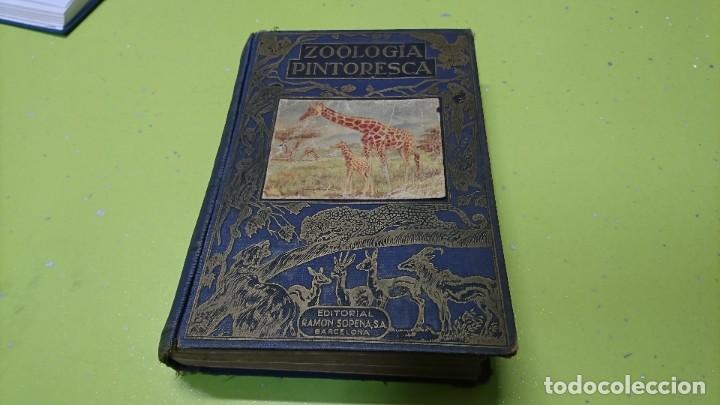Libros de segunda mano: ZOOLOG&Iacute;A PINTORESCA, EDITORIAL SOPENA, 1950 - Foto 1