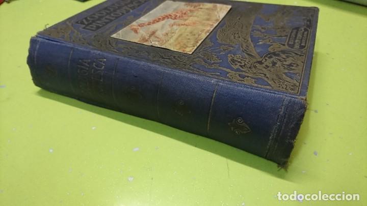 Libros de segunda mano: ZOOLOG&Iacute;A PINTORESCA, EDITORIAL SOPENA, 1950 - Foto 2