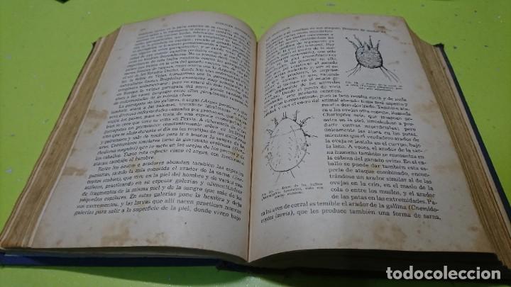 Libros de segunda mano: ZOOLOG&Iacute;A PINTORESCA, EDITORIAL SOPENA, 1950 - Foto 4