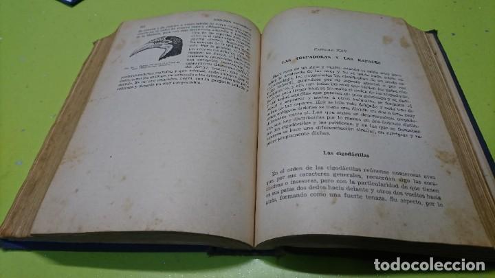 Libros de segunda mano: ZOOLOG&Iacute;A PINTORESCA, EDITORIAL SOPENA, 1950 - Foto 5