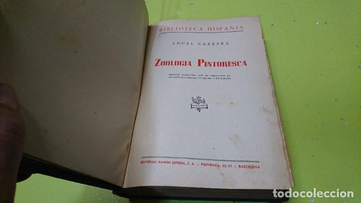 Libros de segunda mano: ZOOLOG&Iacute;A PINTORESCA, EDITORIAL SOPENA, 1950 - Foto 7
