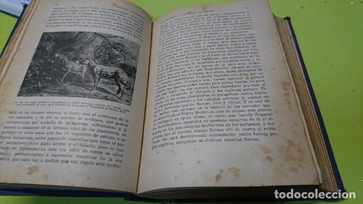 Libros de segunda mano: ZOOLOG&Iacute;A PINTORESCA, EDITORIAL SOPENA, 1950 - Foto 8