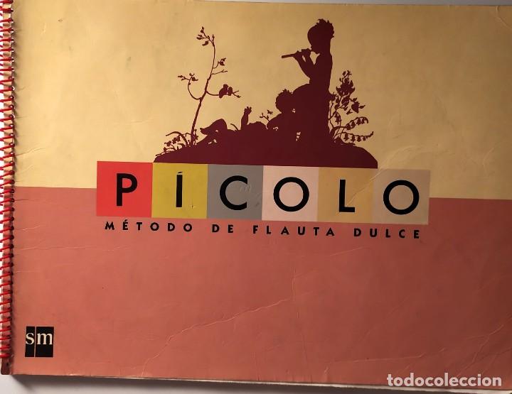 Libros de segunda mano: PICOLO, METODO DE FLAUTA DULCE -ED. SM 1995 - Foto 1