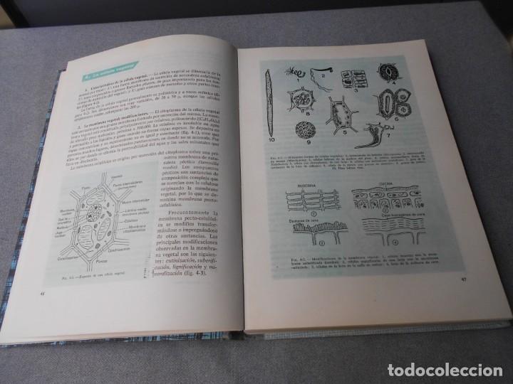 Libros de segunda mano: BIOLOGIA CURSO PREUNIVERSITARIO - Foto 6