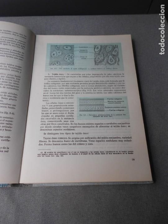 Libros de segunda mano: BIOLOGIA CURSO PREUNIVERSITARIO - Foto 7
