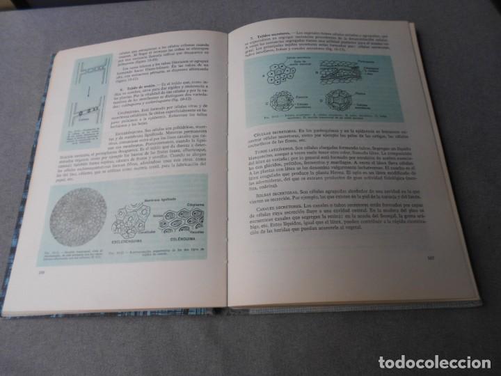 Libros de segunda mano: BIOLOGIA CURSO PREUNIVERSITARIO - Foto 8