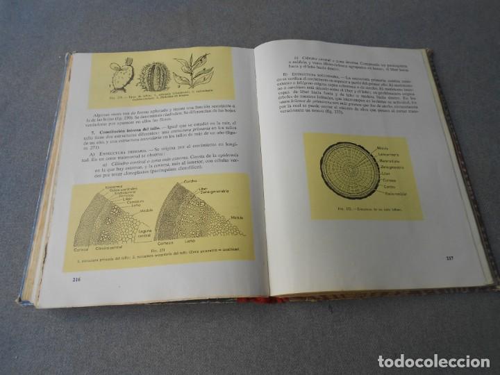 Libros de segunda mano: CIENCIAS NATURALES. 3&ordm; CURSO. - Foto 4