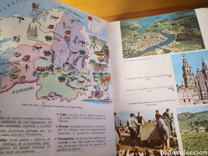 Libros de segunda mano: NATURALEZA Y SOCIEDAD, 4&deg; SM EDICIONES - Foto 3